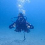 Basic Diver course for beginners with 1 dive in the Ocean - An In-Depth Look at the Experience