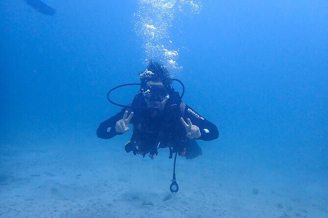 Basic Diver course for beginners with 1 dive in the Ocean - An In-Depth Look at the Experience