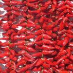 Basque Country Food Tour - Highlights of the Itinerary