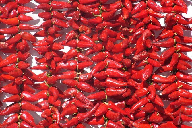 Basque Country Food Tour - Highlights of the Itinerary