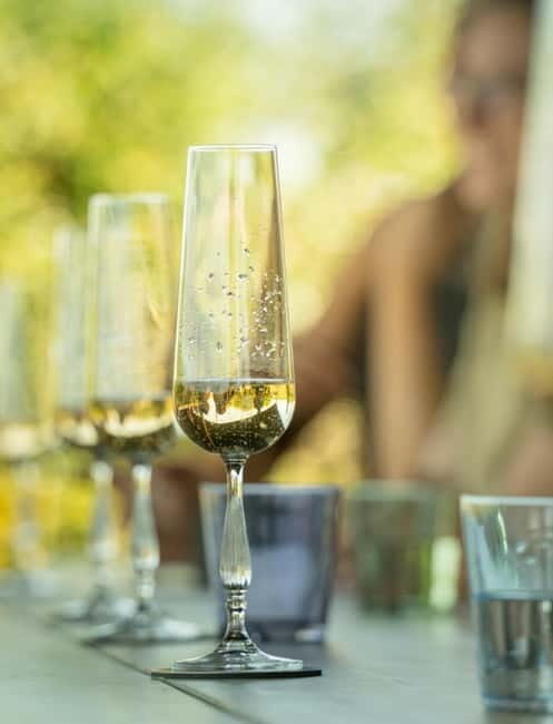 Bath: Vineyard Tour, Wine Tasting, and Music Pairing - The Itinerary in Detail