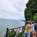 Batumi: Exploring Botanical Garden + Family Wine Tasting - What Makes This Tour Stand Out?