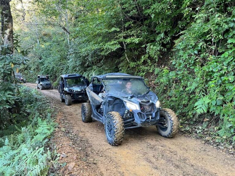 Batumi: Mtirala ATV, Buggy Maverick & Horse Riding Trip - Activities: What to Expect