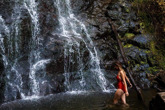 Batumi & Mtirala N.P. Hiking tour from Kutaisi - Practical Tips for Your Day Out