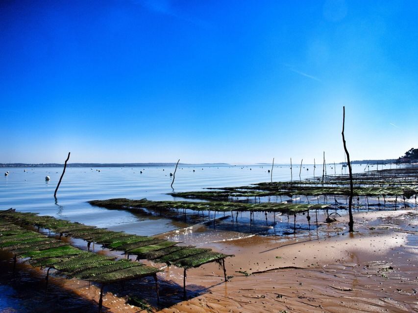 Bay of Arcachon: Guided Food Tour - Who Will Love This Tour?