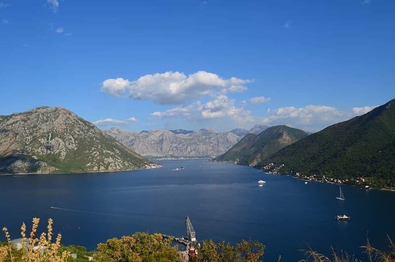 Bay of Kotor: 2-Hour Stand Up Paddle Board Tour - The Experience: What Travelers Say