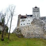 Bear Sanctuary and Bran Castle from Brasov - Is it Worth the Price?