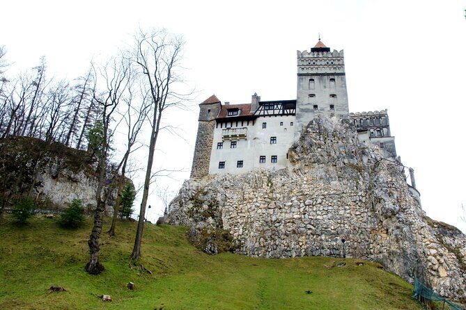 Bear Sanctuary and Bran Castle from Brasov - Is it Worth the Price?