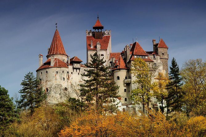 Bear Sanctuary, Bran (Dracula) Castle, Peles Castle From Brasov - The Practical Details: What You Should Know