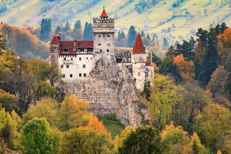 Bear Sanctuary, Dracula's Castle and Brasov | Private Tour - Who Should Book This Tour?