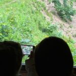 Bear Watching In Brasov: Observe Wild Bears From A Hideout (100%) - Who Should Consider This Tour?