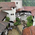Bears Sanctuary, Dracula's Castle and Braov City - Private Tour - Authentic Insights from Reviewers