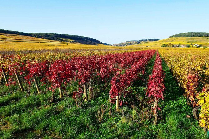 Beaujolais 100% wine tour Small-Group Tour with Tasting from Lyon - Who Should Consider This Tour?