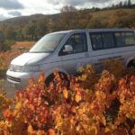 Beaujolais Crus Wines & Castles (2:00 pm - 6:30 pm) - Small Group Tour from Lyon - Who Will Love This Tour?