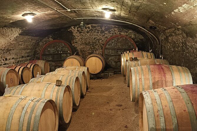 Beaujolais Day Guided Tour - Winery Tours and Tastings - The Sum Up: Is the Beaujolais Day Guided Tour Worth It?