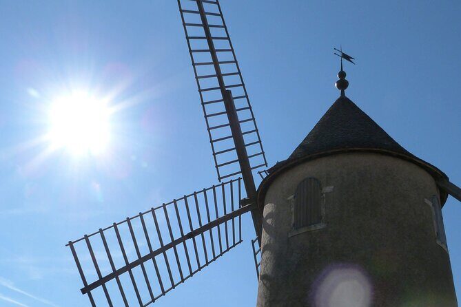 Beaujolais Half Day Wine Tasting Tour - Who Will Love This Tour?