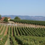 Beaujolais & Perouges Medieval Town (9:00 am to 5:15 pm - Small Group Tour Lyon - What Does the Tour Offer in Terms of Value?