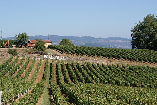 Beaujolais & Perouges Medieval Town (9:00 am to 5:15 pm - Small Group Tour Lyon - What Does the Tour Offer in Terms of Value?