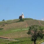 Beaujolais Region Wine Tasting Private Day Tour from Lyon - Practical Details: What You Need to Know