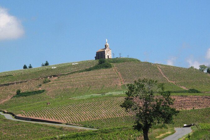 Beaujolais Region Wine Tasting Private Day Tour from Lyon - Practical Details: What You Need to Know