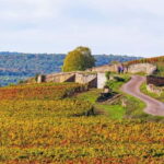 Beaune: Exclusive Private Guided Tour - Who Will Love This Tour?
