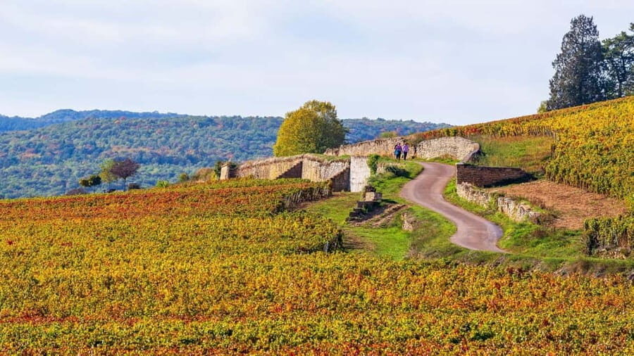 Beaune: Exclusive Private Guided Tour - Who Will Love This Tour?