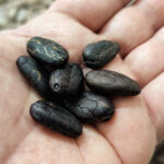 Become a chocolatier for a day! - A Deep Dive Into the Workshop Experience