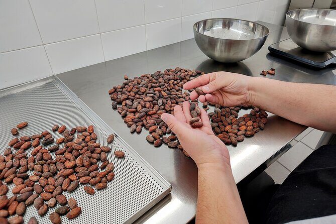 Become a chocolatier for a day, in Modica raw chocolate - FAQ