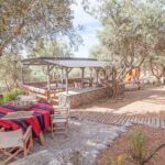 Beekeeping and Honey Stories in Itea - Final Thoughts