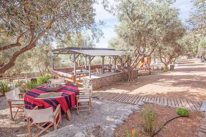 Beekeeping and Honey Stories in Itea - Final Thoughts