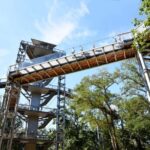 Beelitz-Heilstätten: Baum&Zeit Tree Top Walk Entry Ticket - Analyzing the Value