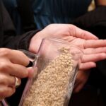 Beer and Brewery Tour in Munich - Who Is This Tour Best Suited For?