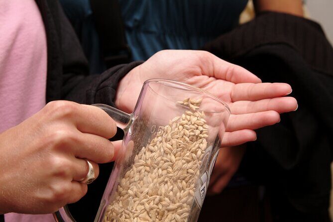 Beer and Brewery Tour in Munich - Who Is This Tour Best Suited For?