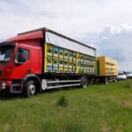 Bees in Romania - Private Beekeeping Lesson and Local Lunch - An In-Depth Look at the Experience