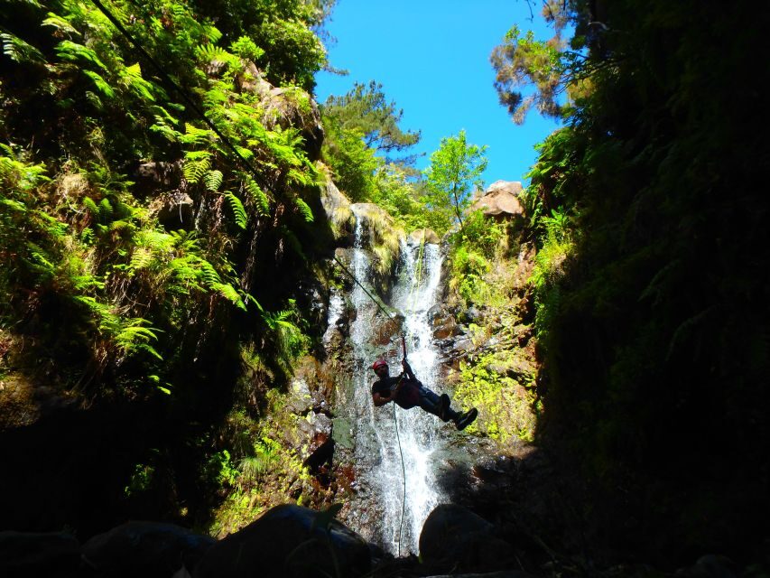 Beginner Canyoning Madeira - What Makes the Experience Stand Out?