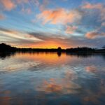 Beginners Wildlife Photography Workshop - The Experience: Pros and Cons