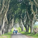 Belfast city & Giants causeway private tour - What’s Included & What’s Not