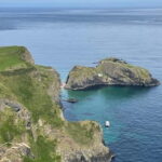 Belfast: Giants Causeway Cruise Ship Half Day Whizz Tour - Practical Details & Tips