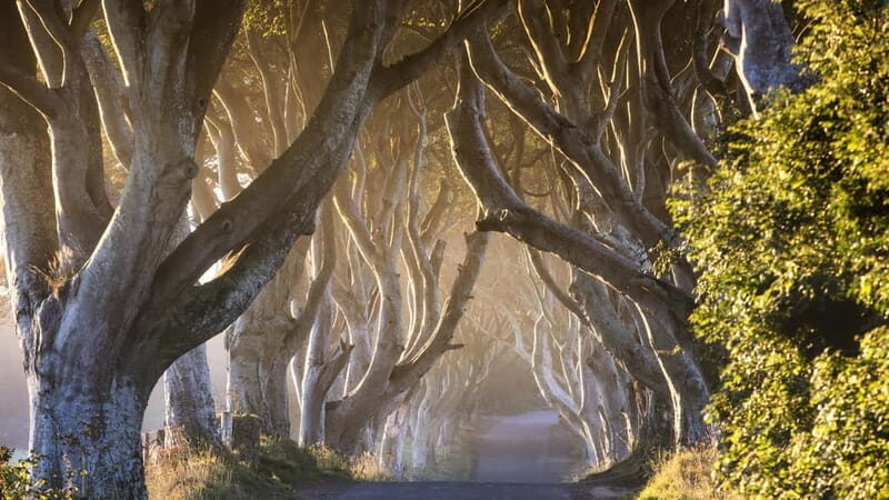 Belfast: Giant's Causeway Tour w/ Titanic Exhibit Admission - FAQs