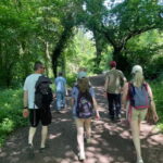 Belfast: Sir Thomas & Lady Dixon Park Walk & Alfresco Picnic - Who Will Love This Tour?