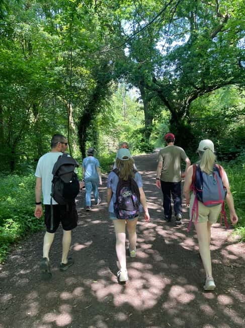 Belfast: Sir Thomas & Lady Dixon Park Walk & Alfresco Picnic - Who Will Love This Tour?