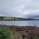 Belfast to Dublin Airport Private Transport up to 8 passengers - What Could Be Better?