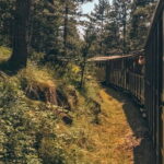 Belgrade: Best of West (Drina House, Drvengrad and Sargan 8) - Practicalities and Tips for Travelers