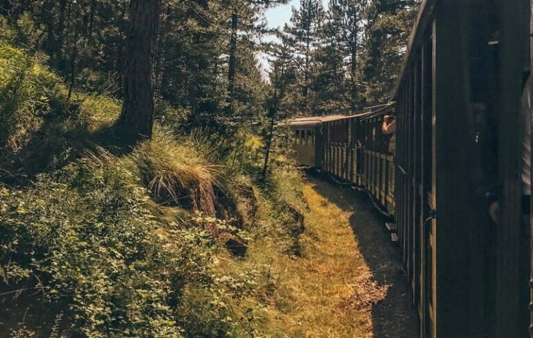 Belgrade: Best of West (Drina House, Drvengrad and Sargan 8) - Practicalities and Tips for Travelers