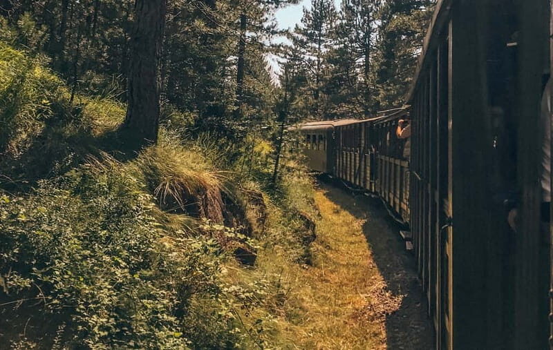 Belgrade: Best of West (Drina House, Drvengrad and Sargan 8) - Practicalities and Tips for Travelers