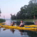 Belgrade: Great War Island Kayak Adventure - Who Would Love This Tour?