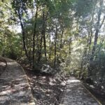 Belgrade Hiking Tour On Mountain Avala - Why This Tour Offers Great Value