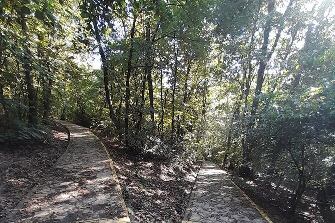 Belgrade Hiking Tour On Mountain Avala - Why This Tour Offers Great Value