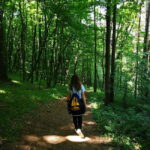 Belgrade: Kosutnjak forest hiking tour - FAQ