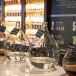 Belgrade: Rakija Tasting Experience with Local Expert - Final Thoughts